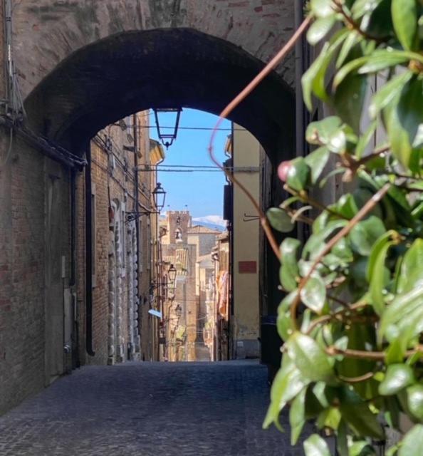 Ferienwohnung La Casa Del Gelsomino Acquaviva Picena Exterior foto