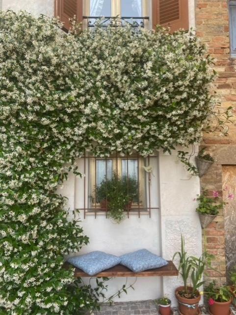 Ferienwohnung La Casa Del Gelsomino Acquaviva Picena Exterior foto